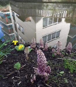 Leentje 04 Ook raar geworden